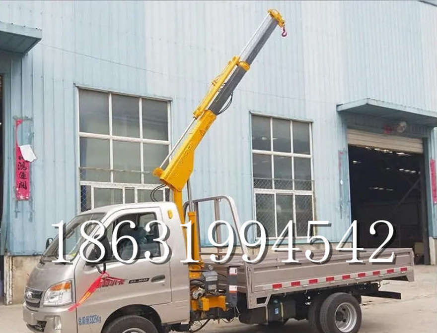 洛隆县车载吊机小吊机220V洛隆县附近小吊机220V车载吊机吊车多少钱洛隆县车载液压升降机